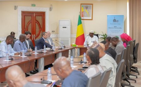 B2Gold : Le vice-président des opérations Bill Lytle reçu à la Primature