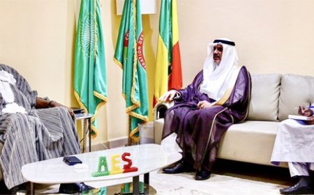 Coopération Mali-Arabie Saoudite : L'ambassadeur Abdullah Saleh Saber reçu par le ministre Mamou Daffé