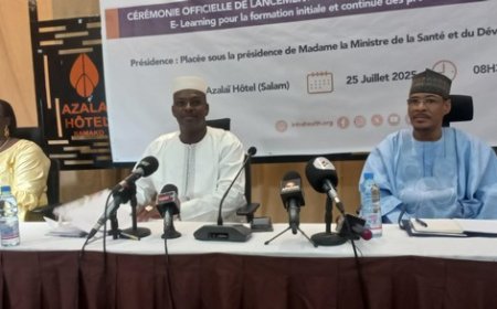 Mali :  la plateforme e-learning lancée pour la formation des filières de bases sages-femmes et infirmières