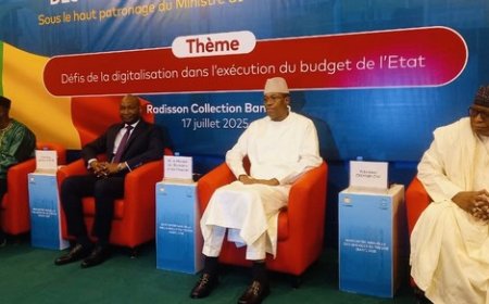 Digitalisation de l’administration publique malienne : La mutation de qualité des services du Trésor