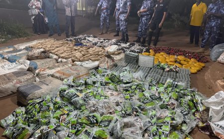 Explosifs, cocaïne, mercure… Des saisies douanières qui alertent sur une menace silencieuse !