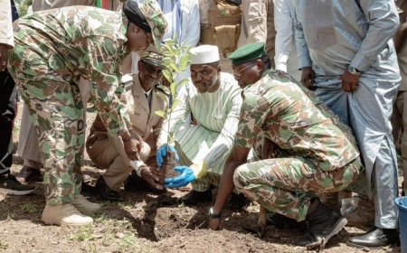 Campagne nationale de reboisement : Poser les jalons de la résilience écologique du Mali