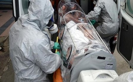 Nigeria : le nombre de morts de la fièvre de Lassa est passé à 152