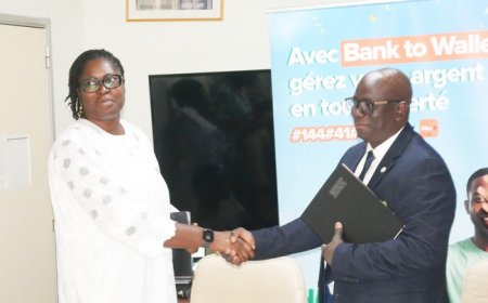 Économie : la BNDA lance son service de finance mobile en partenariat avec Orange Mali