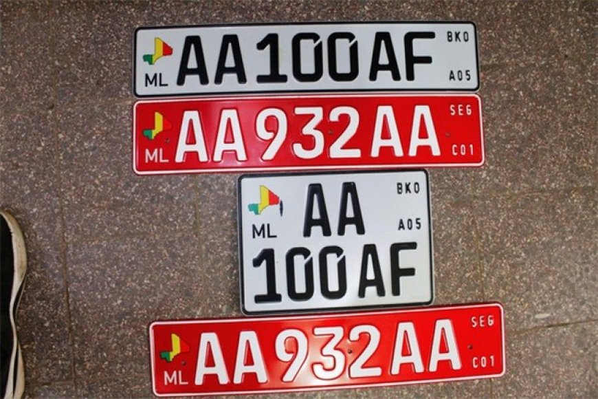 Affaire des 19 cars de transport saisis par la douane : La justice saisie