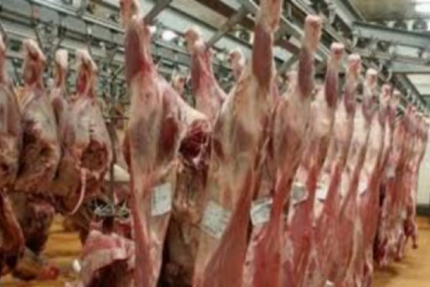 Abattoir frigorifique de Sabalibougou-Kourani :  Bisbilles entre le directeur et un vétérinaire