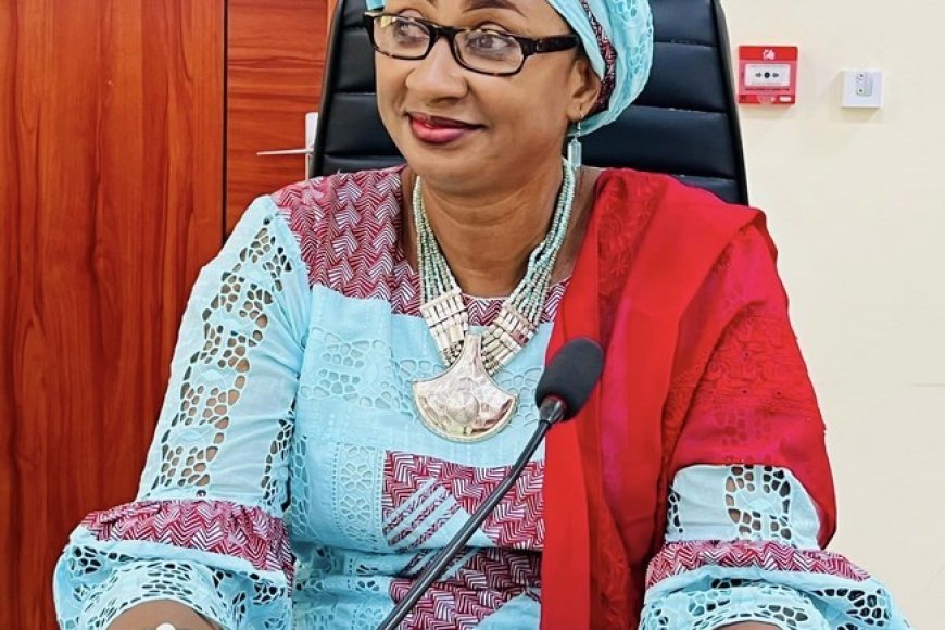 Immatriculation des véhicules au Mali : Le ministère des Transports opte pour une gestion électronique des données