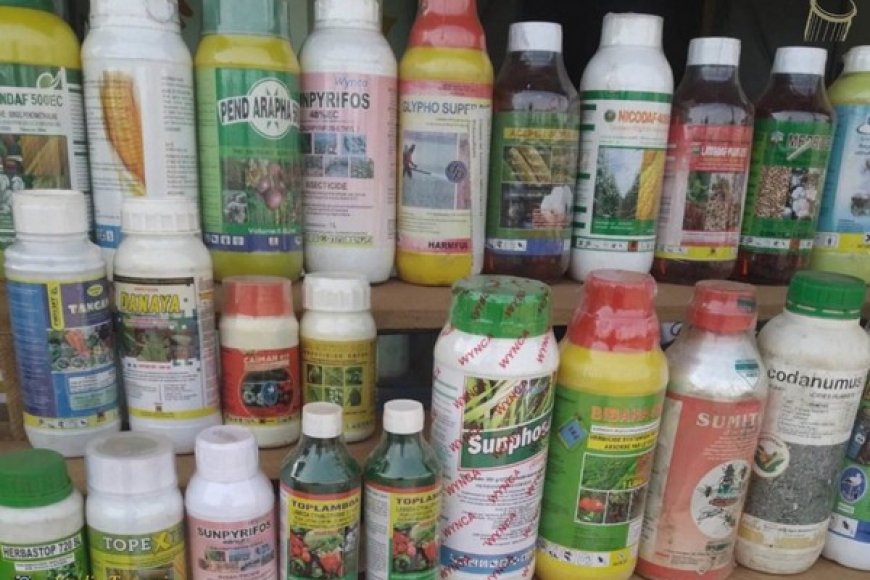 Pesticides : Les impacts négatifs sur notre santé…