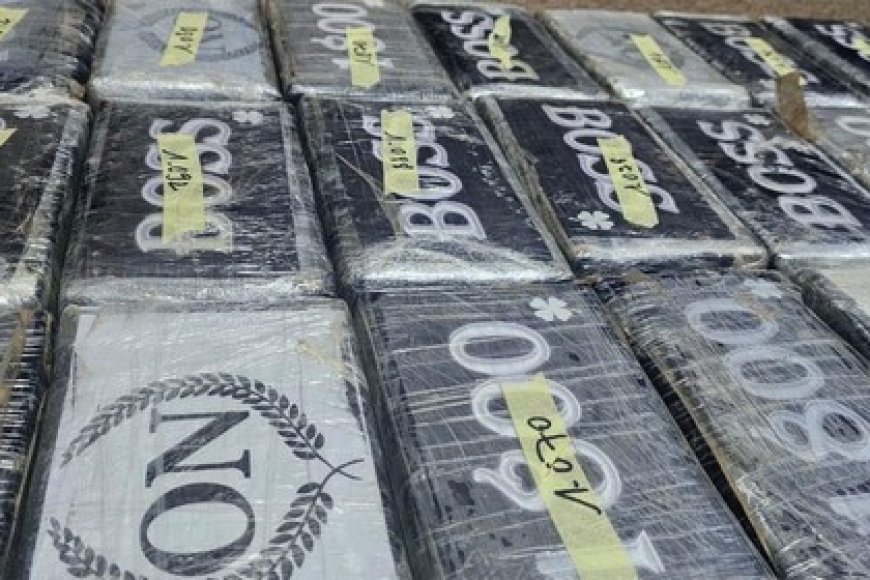 Encore une saisie spectaculaire de la douane : 24 briques de cocaïne en partance vers le Nord interceptées