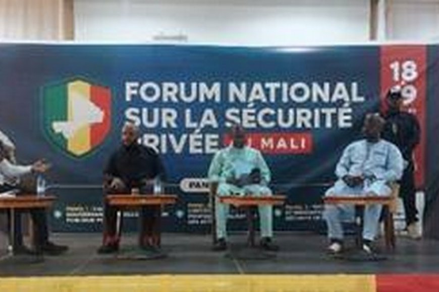 Sécurité privée au Mali : Diagnostic pour mieux structurer