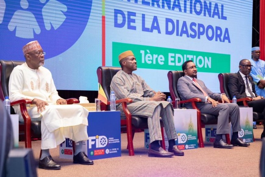 Diaspora malienne en conclave : Aller au-delà des transferts monétaires effectués vers le pays d'origine