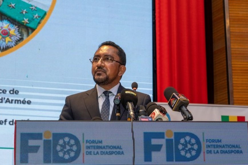 La Diaspora Malienne, Pilier Essentiel du Développement Économique National sur Dix Ans