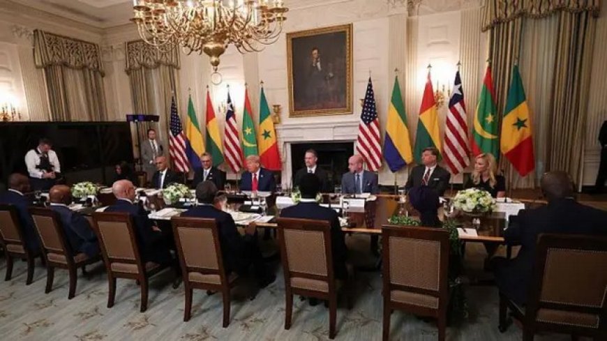 Réunion USA/Afrique À la Maison Blanche : Non, le nom, prénom et le pays d’origine ne suffisent pas !