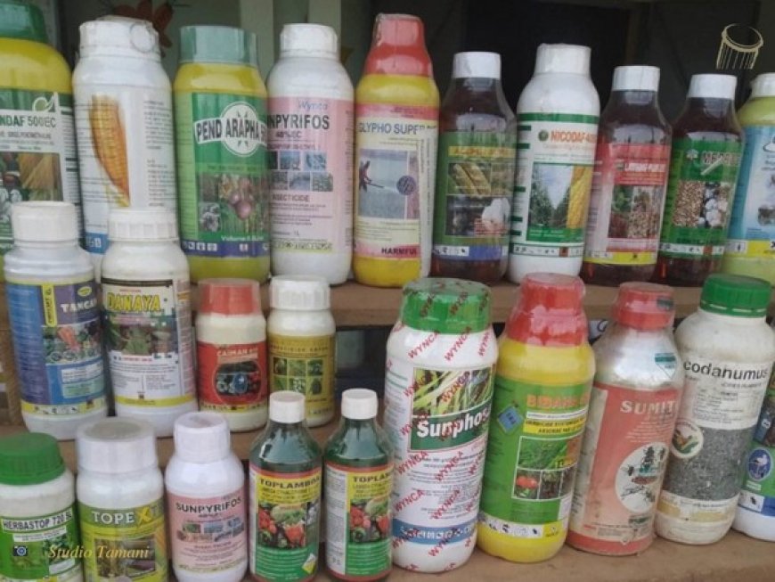 Pesticides : Les impacts négatifs sur notre santé…