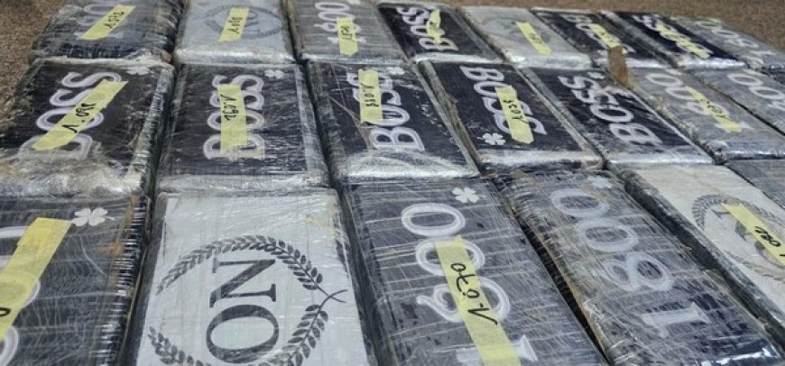 Encore une saisie spectaculaire de la douane : 24 briques de cocaïne en partance vers le Nord interceptées