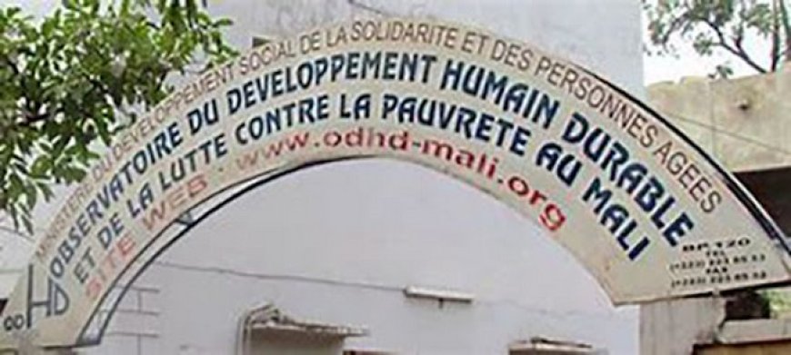 Développement Humain : Lancement conjoint des rapports mondial et national 2025