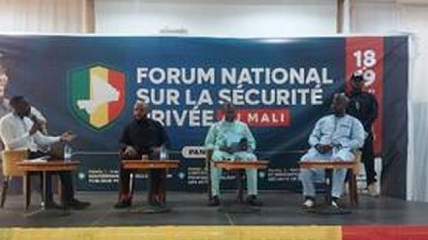 Sécurité privée au Mali : Diagnostic pour mieux structurer