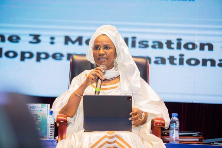Le MENEFP au forum international de la diaspora :   Un panel pour valoriser le potentiel humain et économique de la diaspora malienne