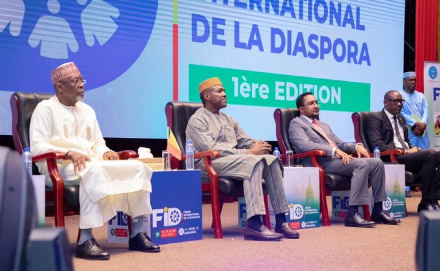 Forum international de la diaspora : Créer des opportunités pour transformer les milliards envoyés en judicieux fonds d’investissement