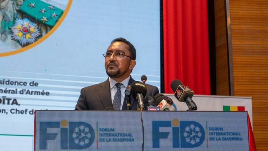 Clôture du Forum International de la Diaspora : La première édition gagne le satisfecit des organisateurs