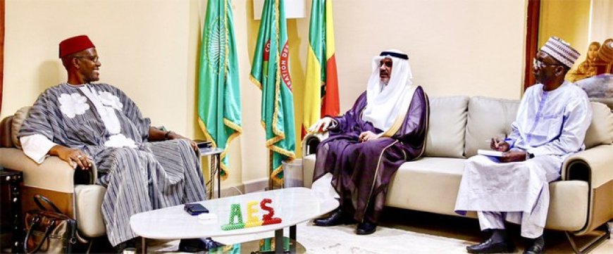 Coopération Mali-Arabie Saoudite : L'ambassadeur Abdullah Saleh Saber reçu par le ministre Mamou Daffé