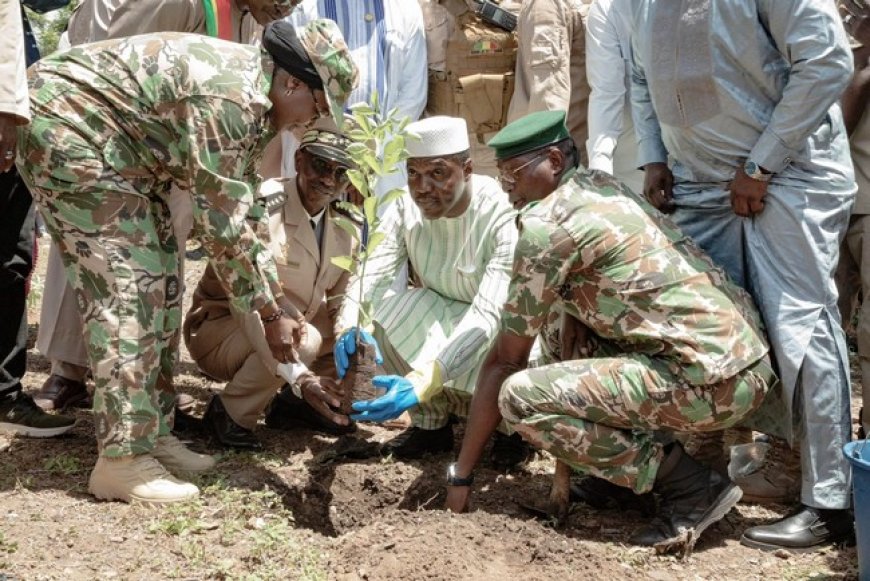 Campagne nationale de reboisement : Poser les jalons de la résilience écologique du Mali