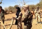 Mali : Alhousseyni Ag Hamaya, un cadre de l'EIGS serait neutralisé par les éléments du groupe d’autodéfense GATIA à Gao