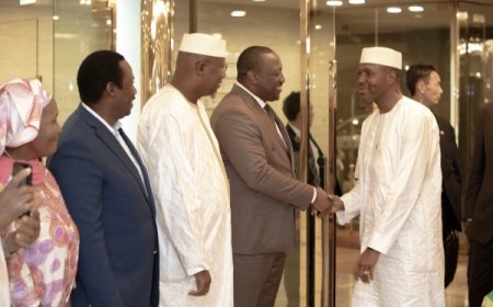 Expo universelle Osaka 2025 : Le Mali, invité vedette