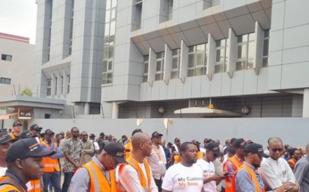 Identification des puces orange Mali : Stupéfaction et colères