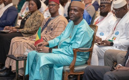 Osaka 2025 : le Mali séduit les investisseurs japonais lors de son premier Business Forum