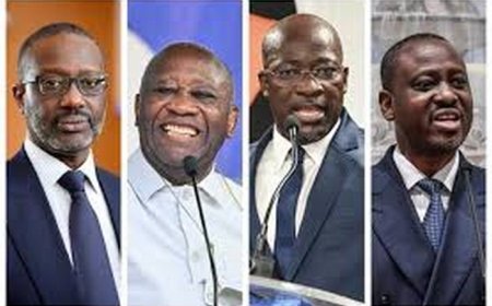 Élection présidentielle en Côte-d’Ivoire : Et si l’opposition appliquait le plan Sonko ?