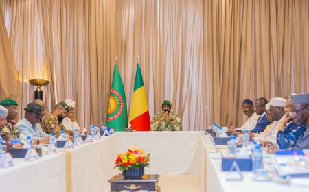 Nationalité malienne : Le cadre juridique de la déchéance renforcé
