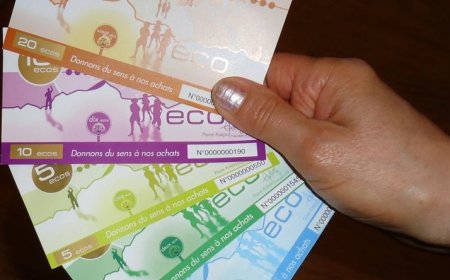 CEDEAO : la monnaie commune annoncée pour 2027