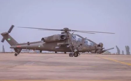 Nigeria–Turquie : une coopération sécuritaire renforcée pour lutter contre le terrorisme