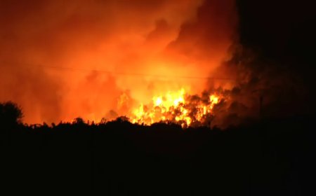 Au moins 14.000 hectares parcourus: l'incendie de l'Aude est-il le plus dévastateur du 21e siècle?