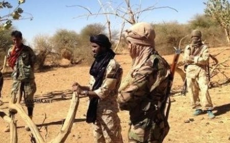 Mali : Alhousseyni Ag Hamaya, un cadre de l'EIGS serait neutralisé par les éléments du groupe d’autodéfense GATIA à Gao
