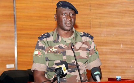 Projet de Charte pour la paix et la réconciliation nationale : Le CNT donne son feu vert