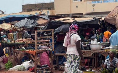 Hivernage : Les dommages pour le panier de la ménagère