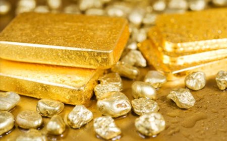 Niger : nationalisation de la Société des Mines du Liptako