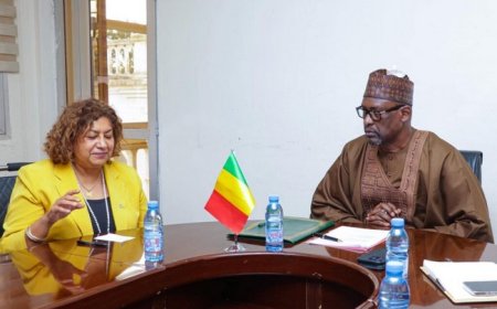 Mali : renforcement de la coopération avec les États-Unis