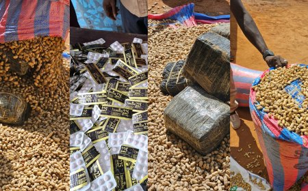 Tramadol : deux saisies record de la Douane malienne en moins d’une