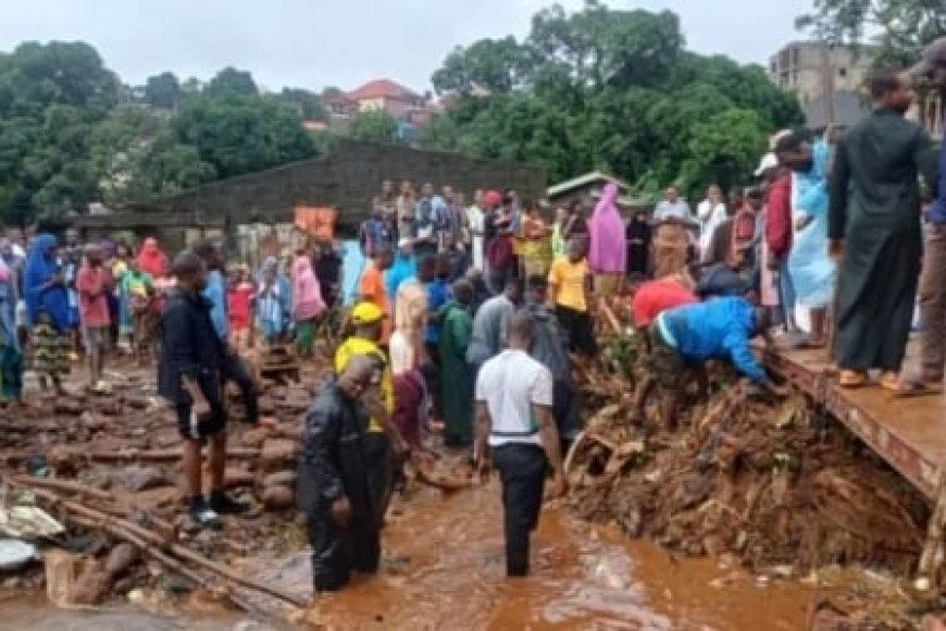Guinée: plus de 7 morts et des dégâts matériels après des pluies à ...