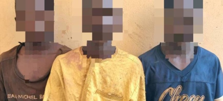 Yirimadio : Quatre bandits sous les verrous