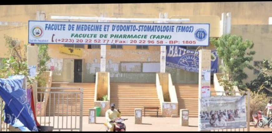 Faculté de médecine et d’odontosmatologie : Le parcours difficile des pensionnaires
