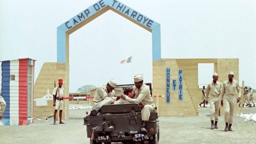 Thiaroye 44 : la mémoire blessée des tirailleurs sénégalais réclame justice et réparation