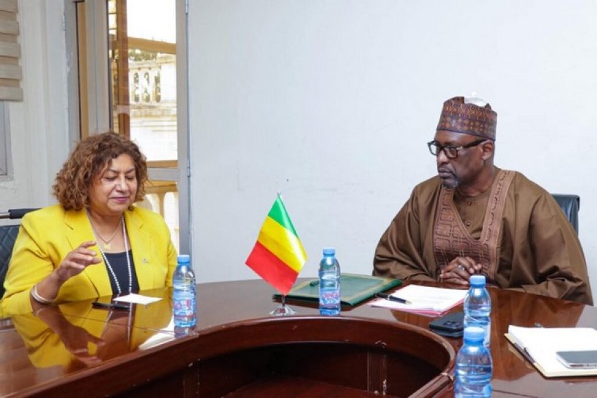 Mali : renforcement de la coopération avec les États-Unis