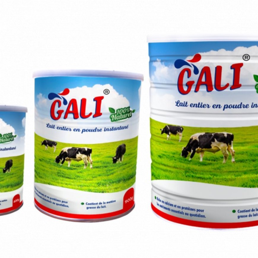 GALI, pari gagné ! : Secrets d'un success story
