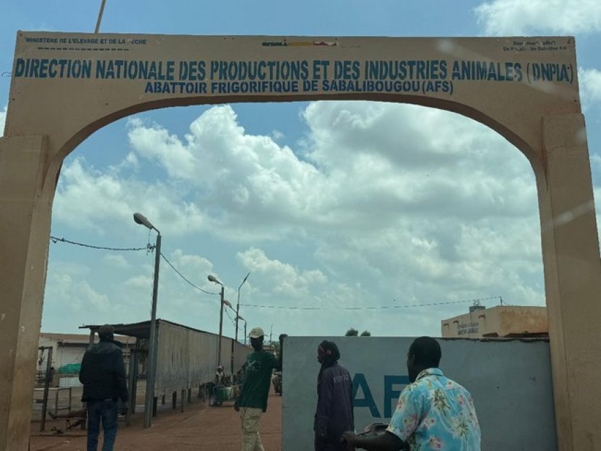 Abattoir frigorifique de Sabalibougou Courani : Course au label Mali et à la certification Iso
