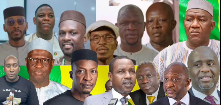 Mali : un sursis à statuer relance le débat sur la dissolution des partis politiques