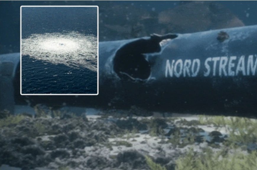 Un soldat tombé au front, un officier et une championne de plongée: l’Allemagne a identifié les saboteurs de Nord Stream